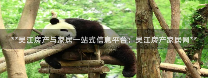 ug环球正网开户