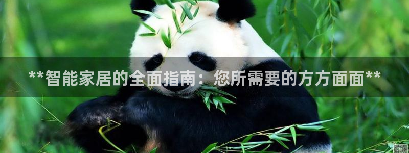 ug环球官网代理