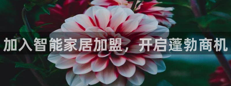 ug环球视讯真假