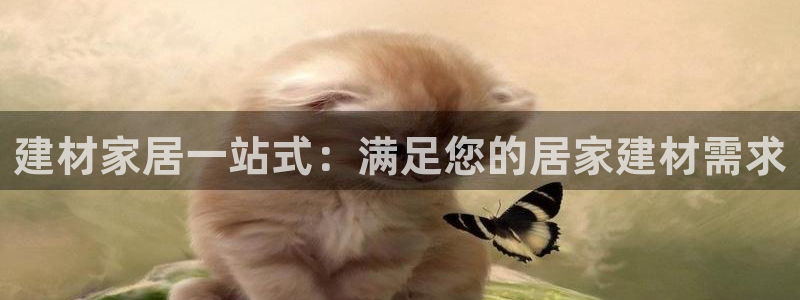ug环球360代理