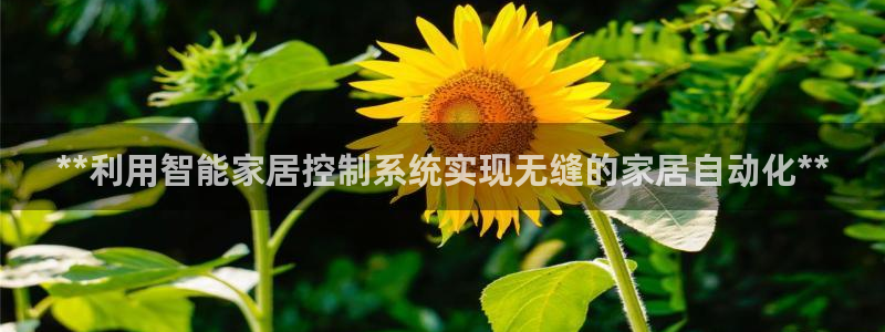 ug环球app下载