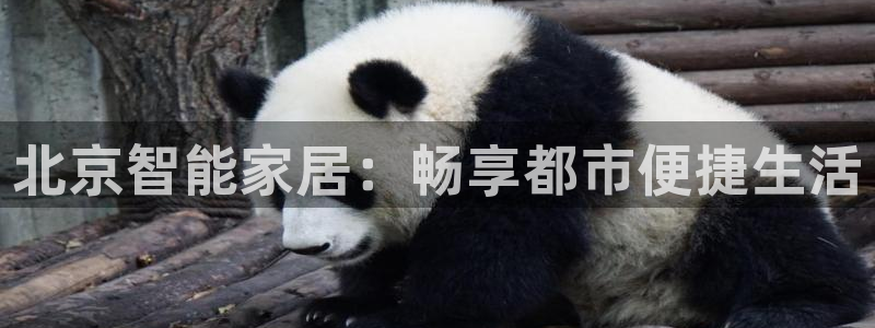 UG环球视讯官网