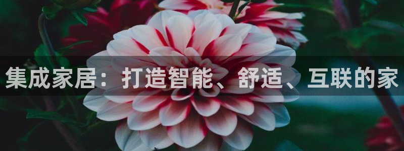 ug环球代理开户