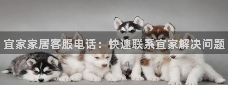 ug环球官网会员