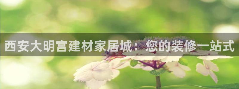 ug环球密码重置是多少位数啊
