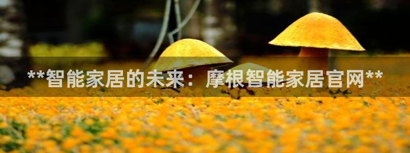 ug环球信用盘