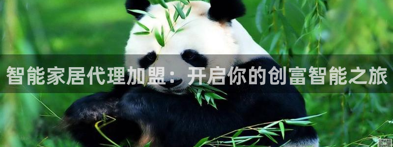 ug环球会员充值