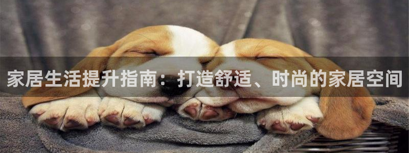 ug环球会员注册开户