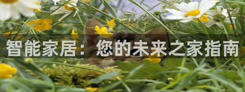 环球ug包杀网一比一