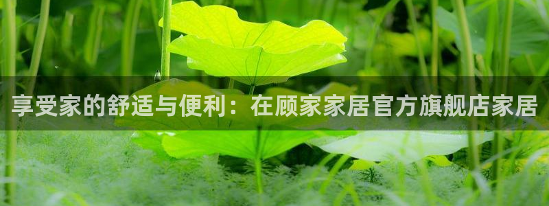 ug环球密码重置是多少位数啊