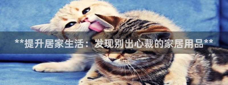 UG环球国际在线