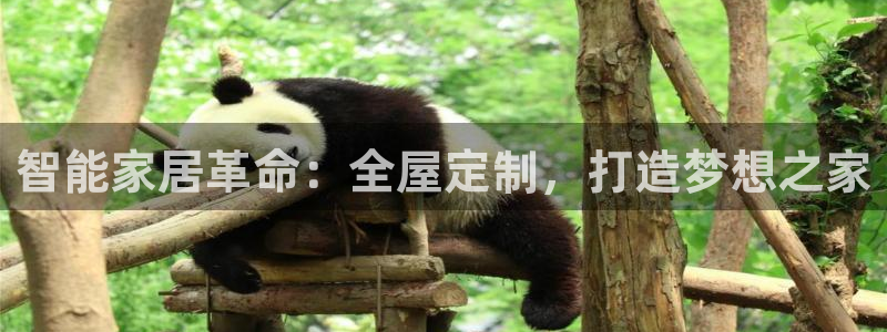 ug环球会员注册开户