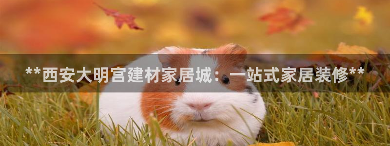ug环球视讯充值
