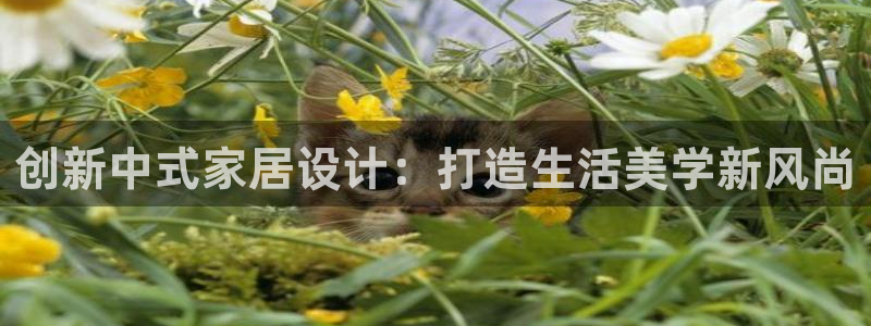 ug环球视讯手机版官网