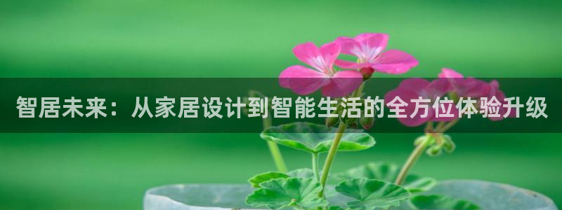 ug环球会员网站登录