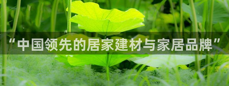ug环球会员官方客服电话