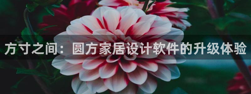 ug环球视讯手机版官网