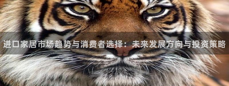 ug环球国际买分