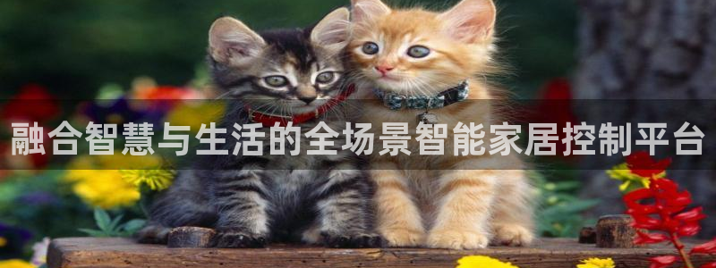 UG环球假网一比一包杀网