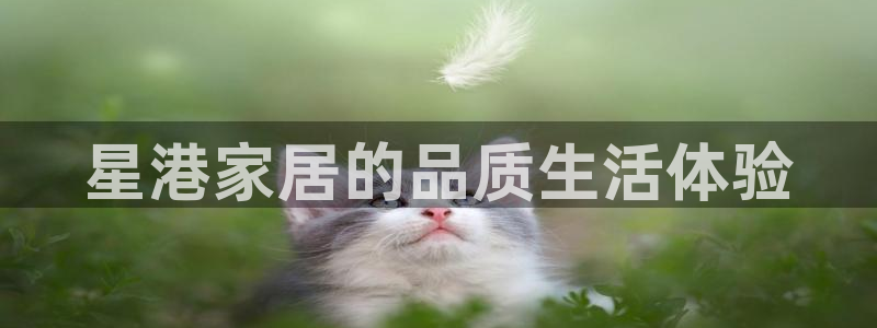 ug环球官网在线