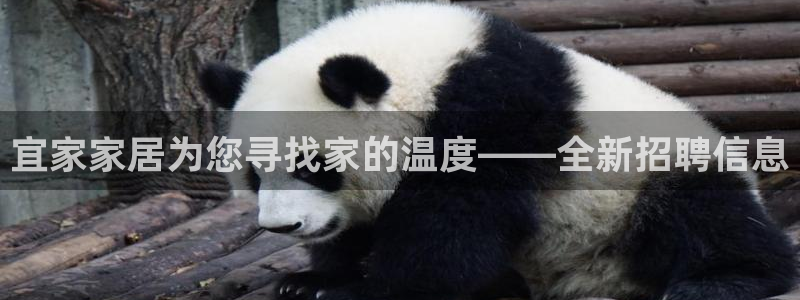 ug环球代理平台