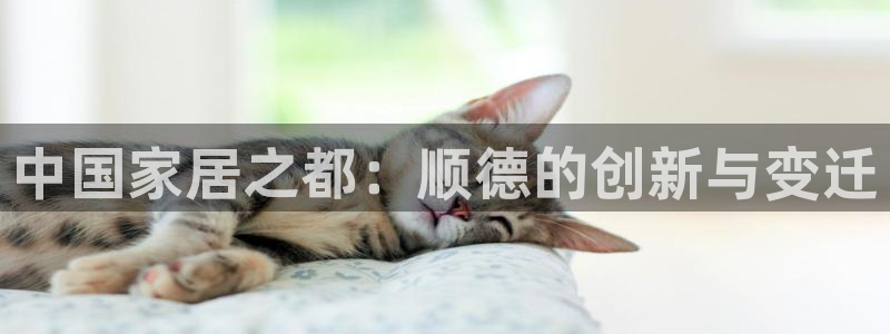 UG环球假网一比一包杀网