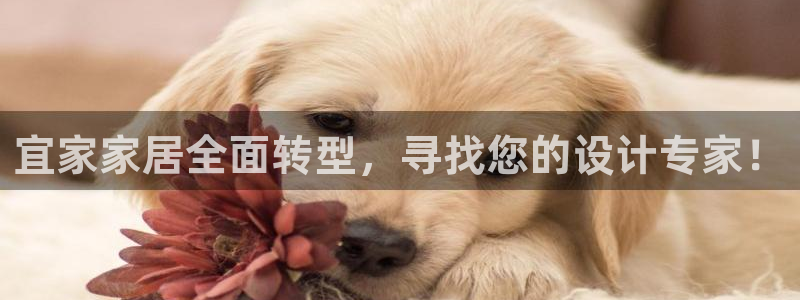 UG环球1比一