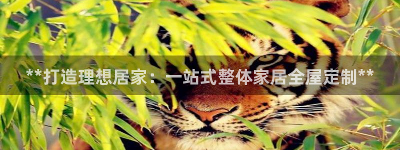 ug环球官网登录