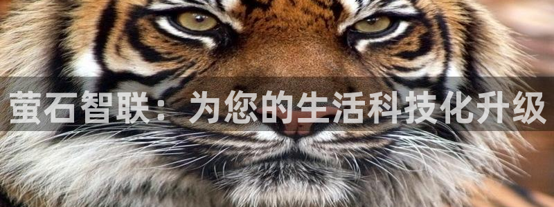 ug环球正网包杀