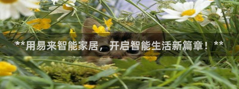 ug环球官网登录入口