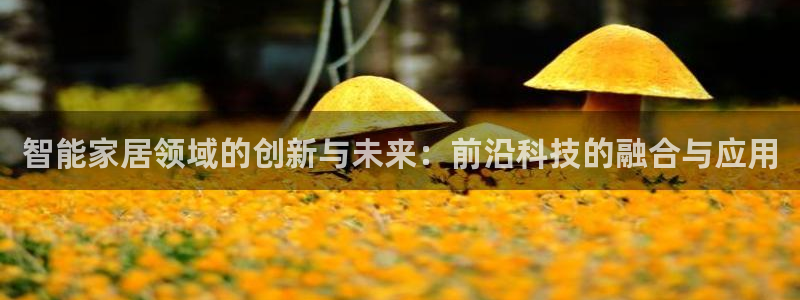 ug环球在线注册