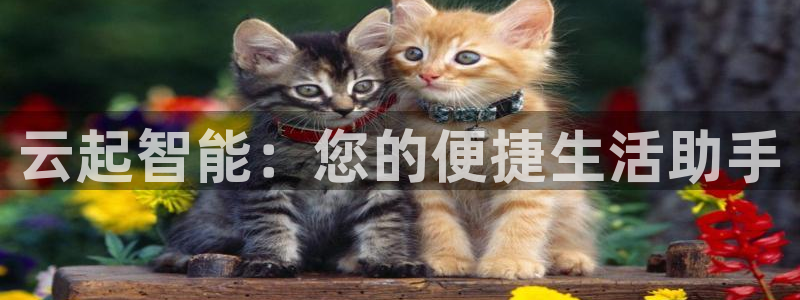 UG环球360官方网站